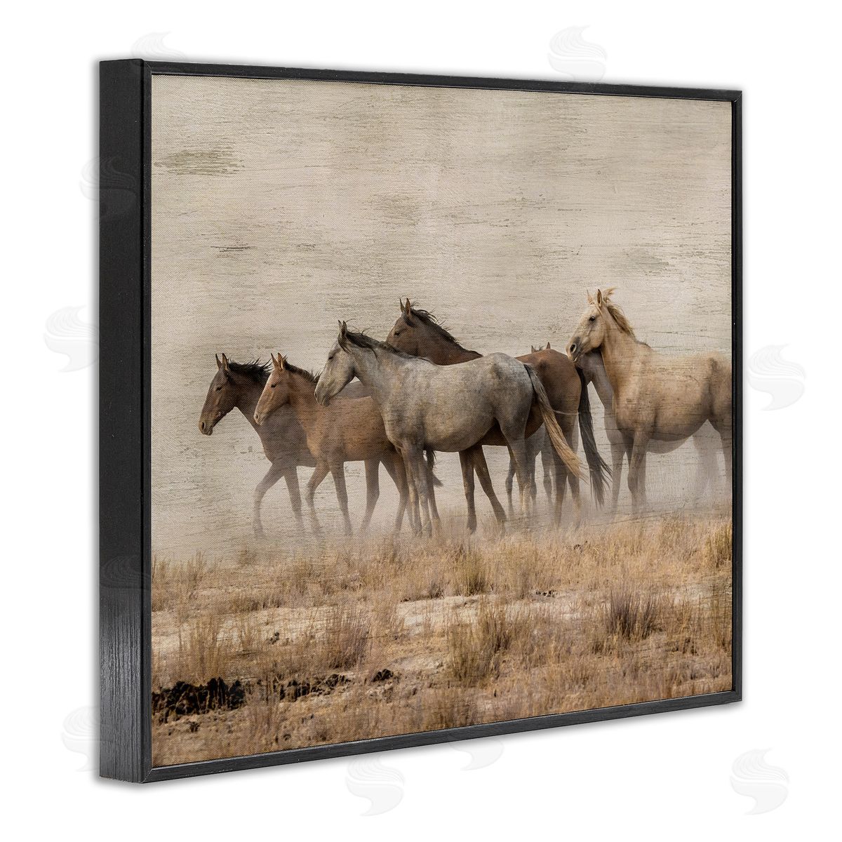 Danita Delimont Galloping Horse Herd Countryside