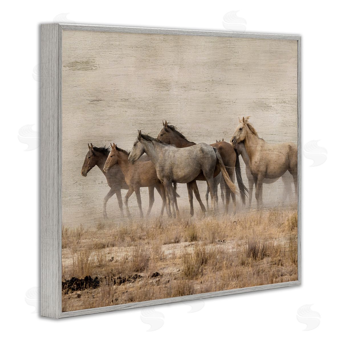 Danita Delimont Galloping Horse Herd Countryside