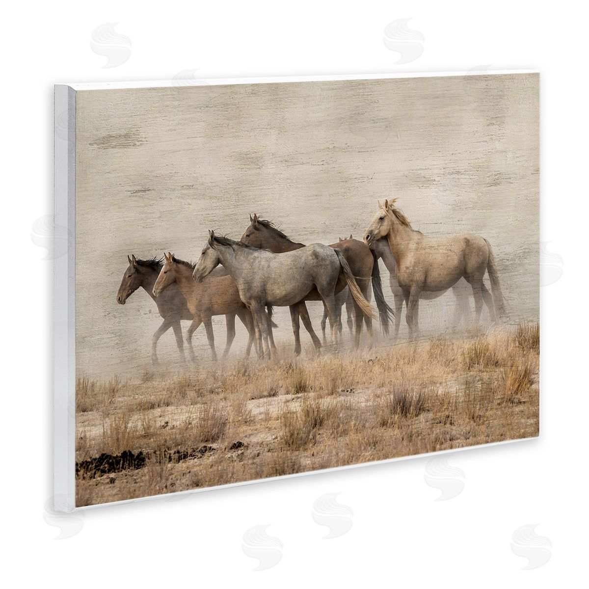 Danita Delimont Galloping Horse Herd Countryside