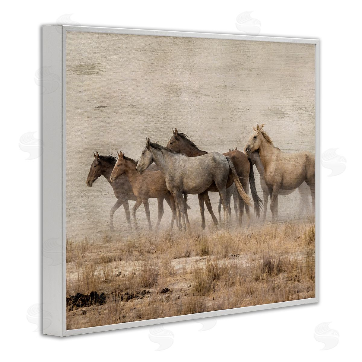 Danita Delimont Galloping Horse Herd Countryside