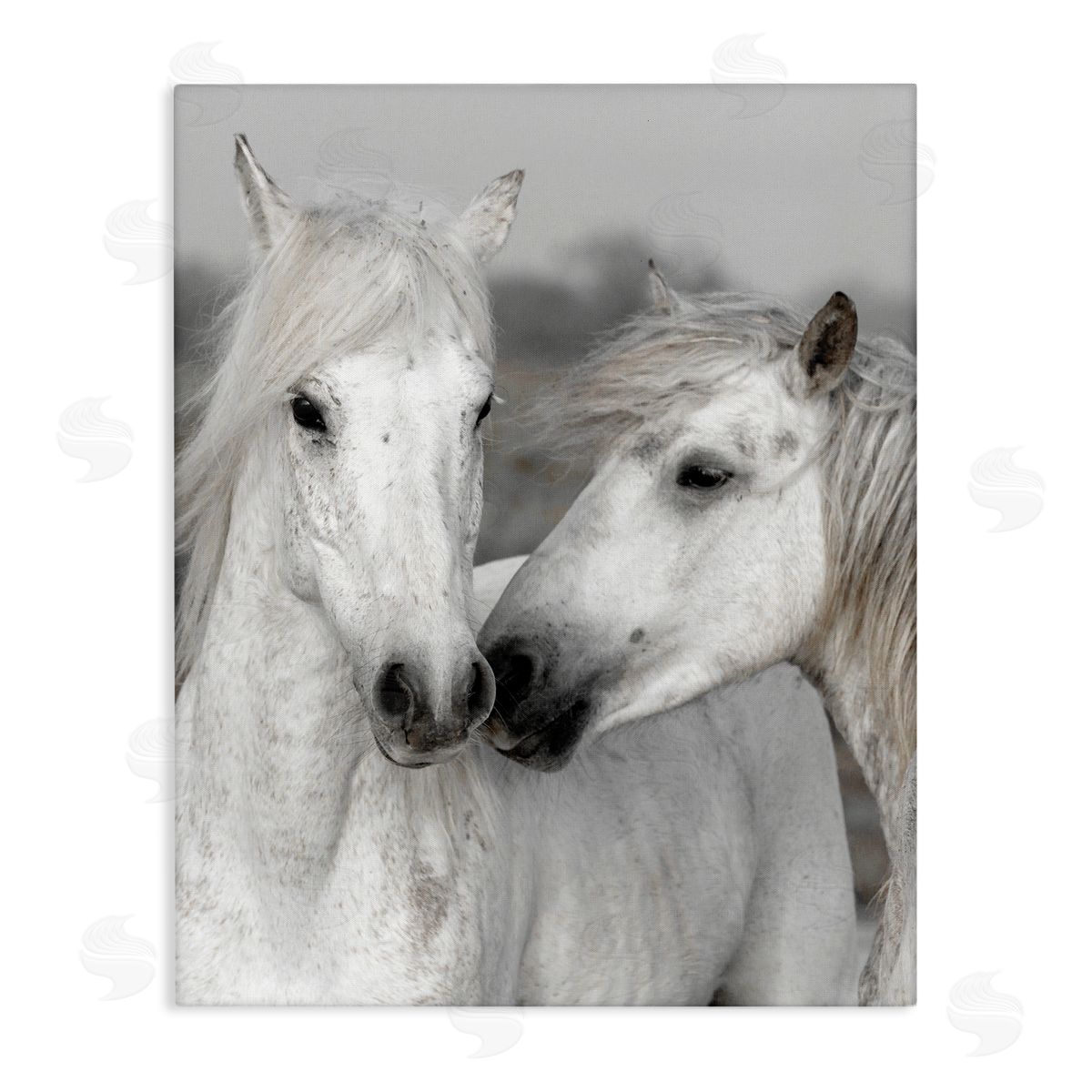Danita Delimont White Horse Kiss Wildlife