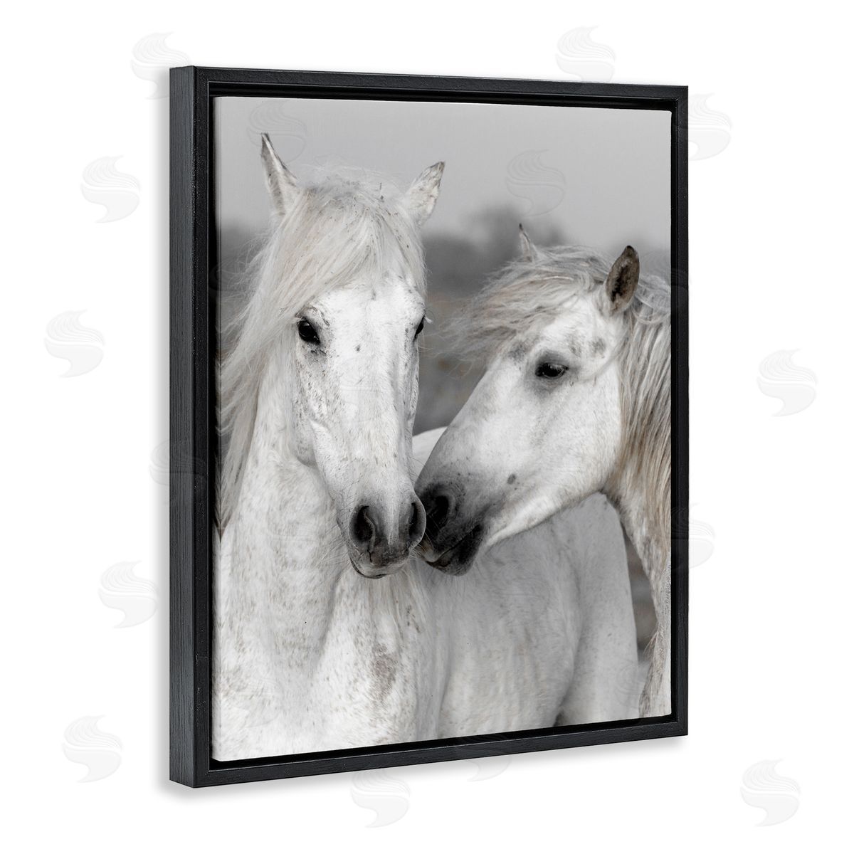 Danita Delimont White Horse Kiss Wildlife