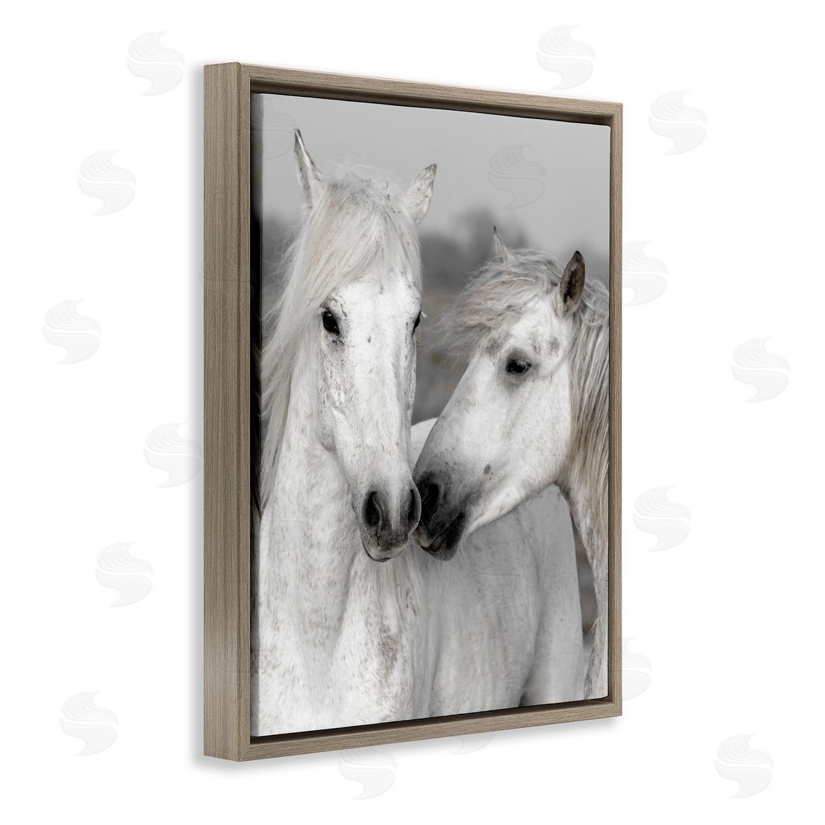 Danita Delimont White Horse Kiss Wildlife