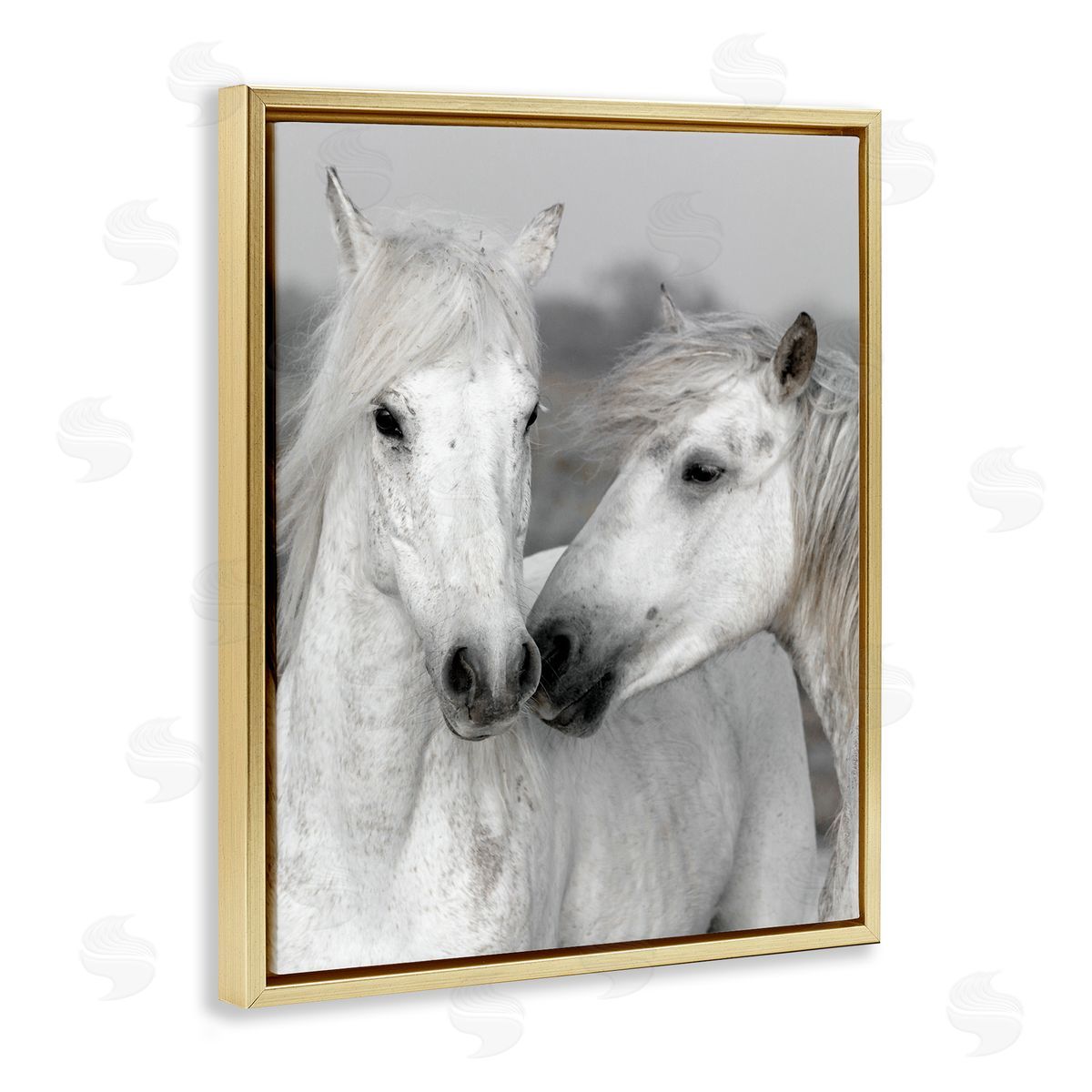 Danita Delimont White Horse Kiss Wildlife