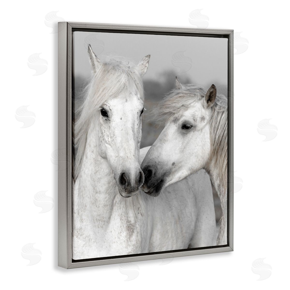Danita Delimont White Horse Kiss Wildlife