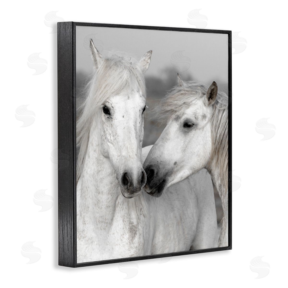 Danita Delimont White Horse Kiss Wildlife