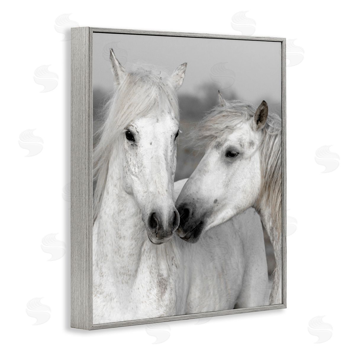 Danita Delimont White Horse Kiss Wildlife