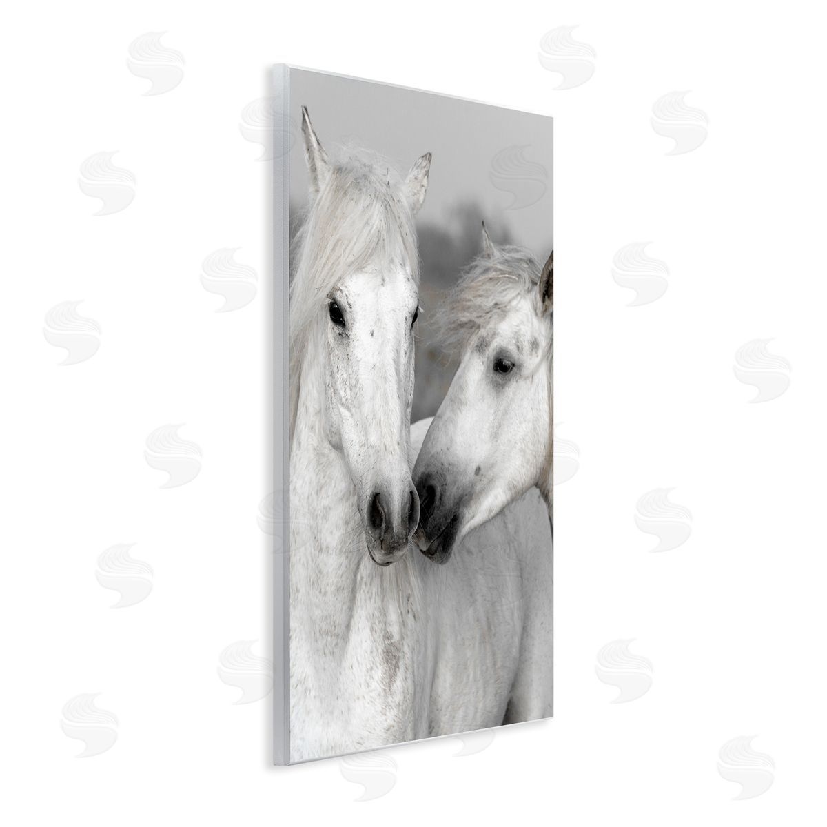 Danita Delimont White Horse Kiss Wildlife