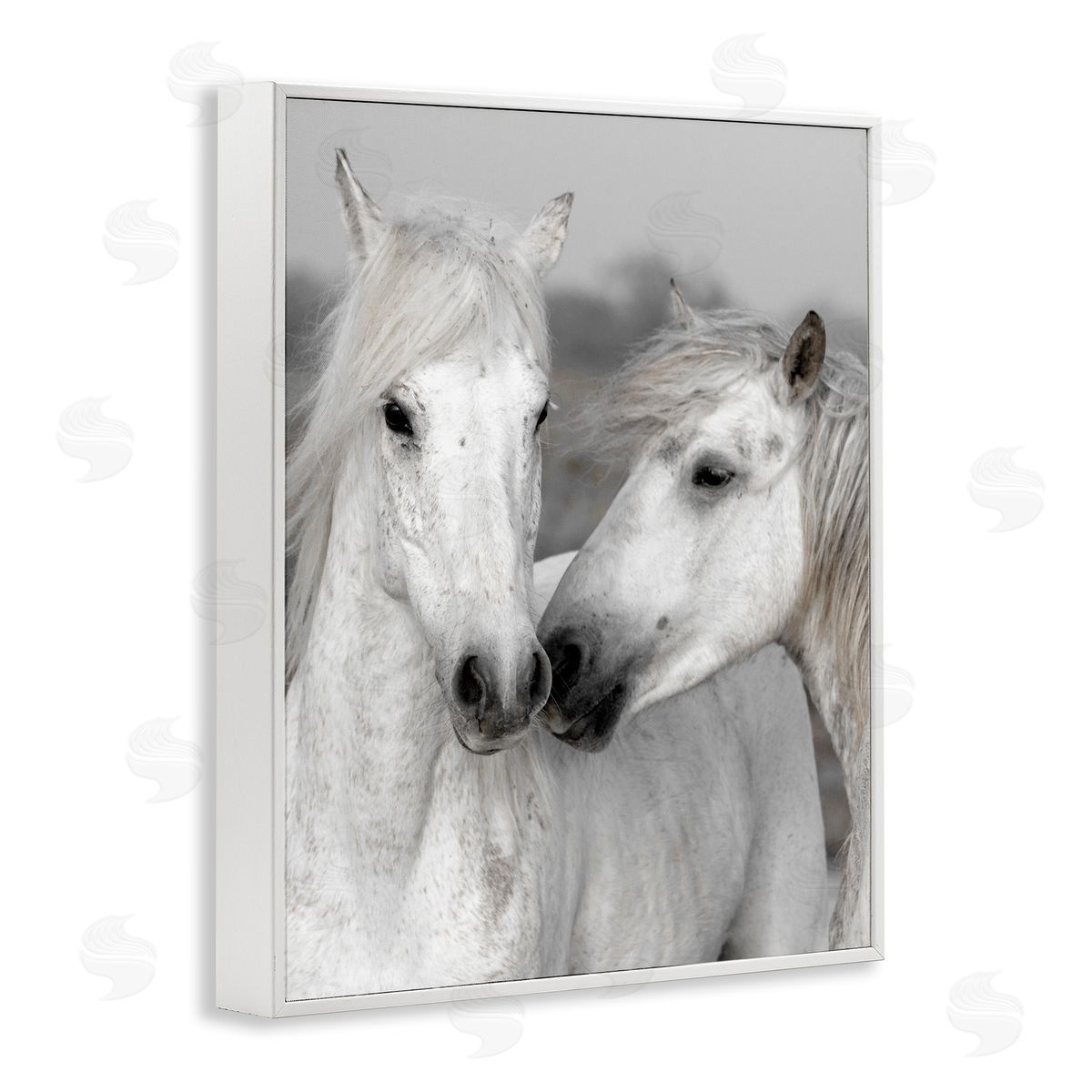 Danita Delimont White Horse Kiss Wildlife