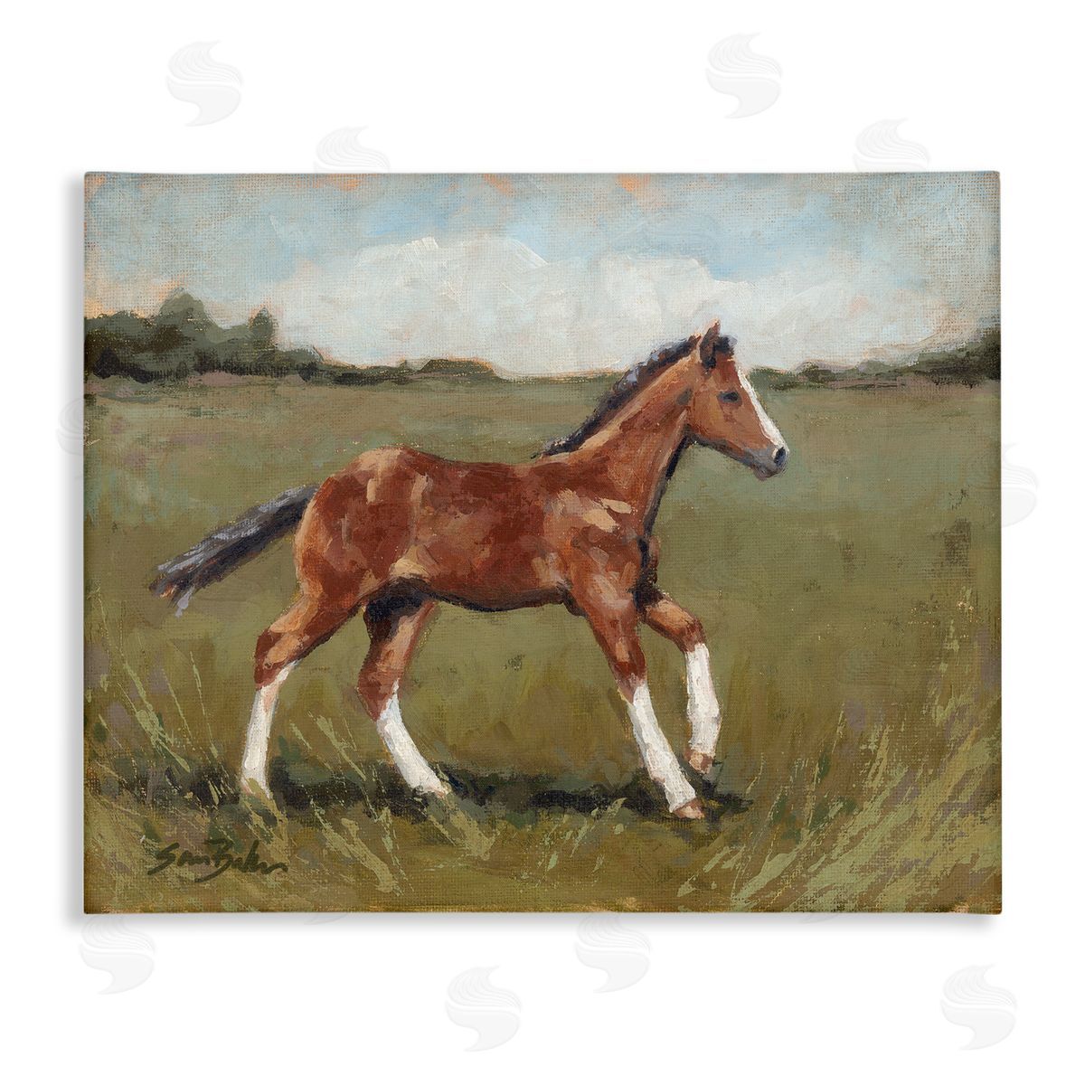 Sara Baker Horse Foal Galloping Countryside