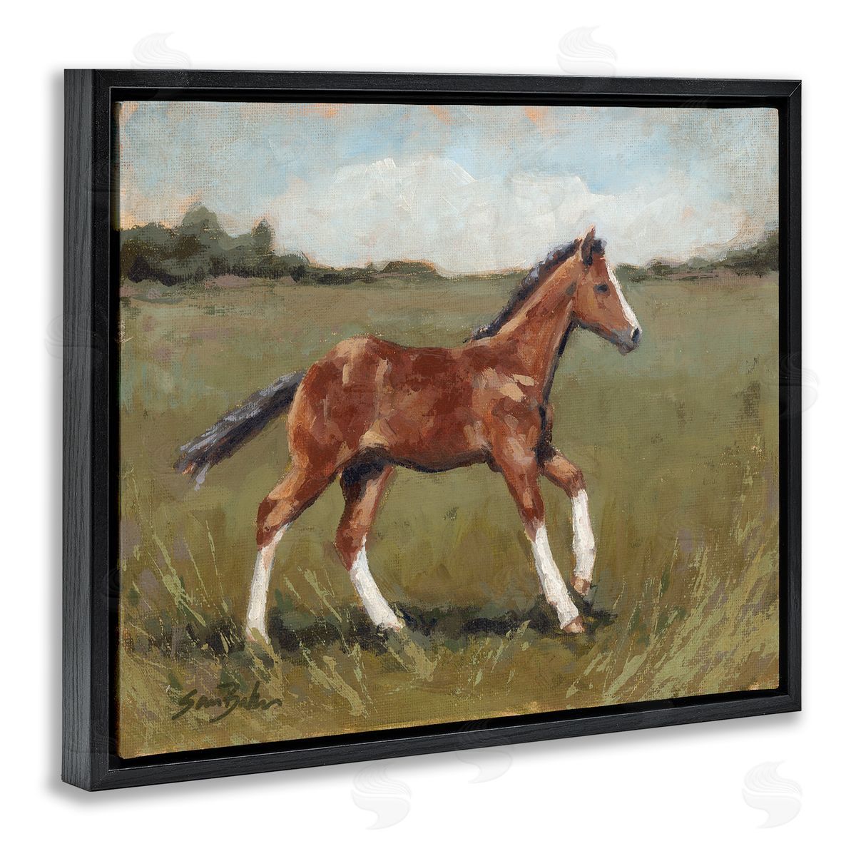 Sara Baker Horse Foal Galloping Countryside