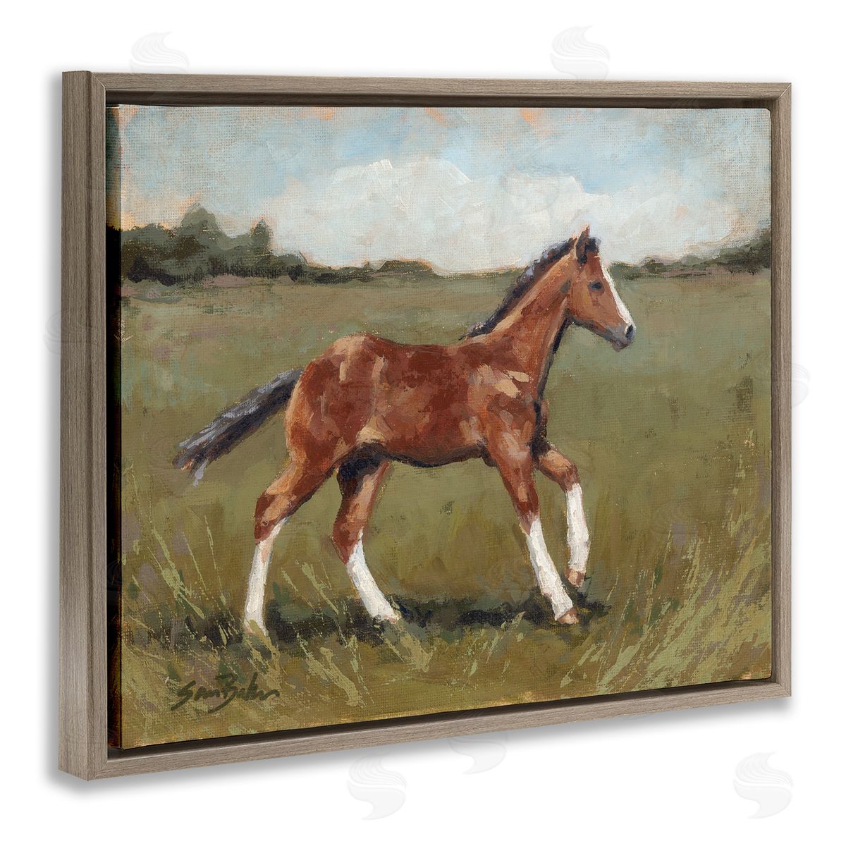 Sara Baker Horse Foal Galloping Countryside