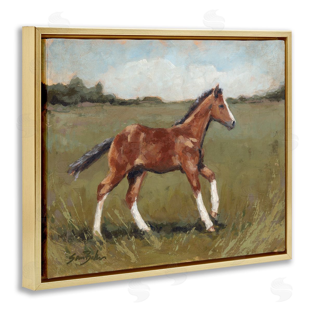 Sara Baker Horse Foal Galloping Countryside