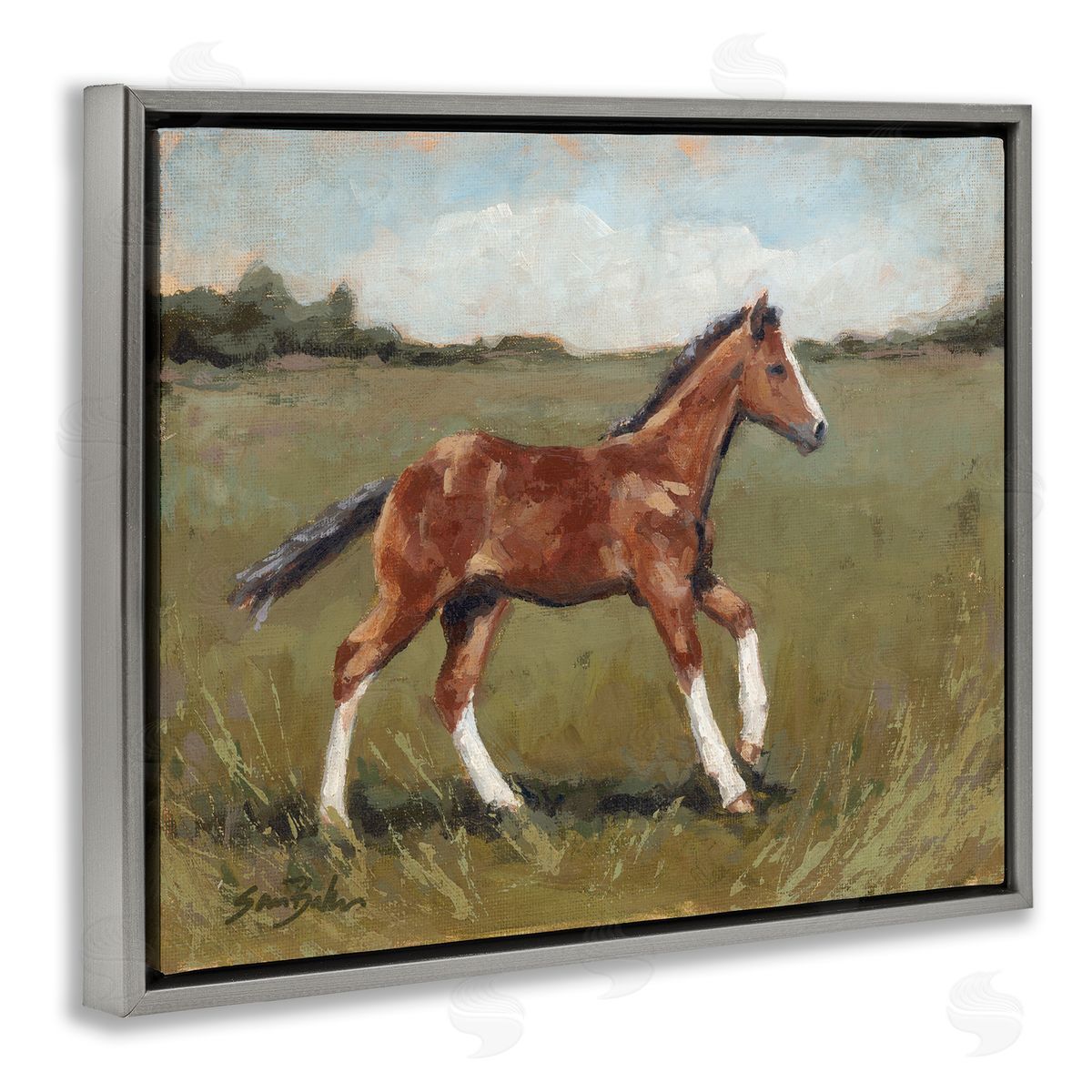 Sara Baker Horse Foal Galloping Countryside