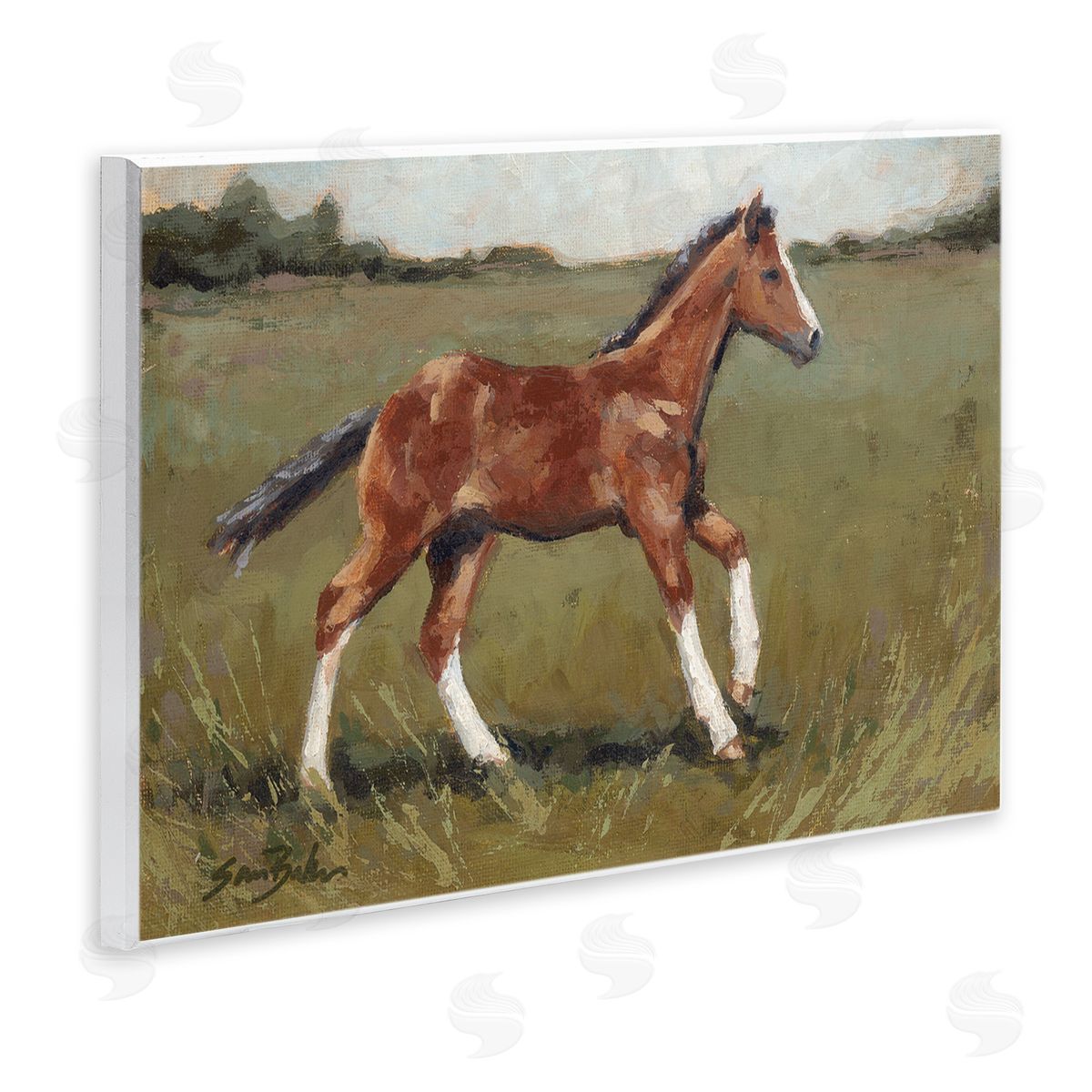 Sara Baker Horse Foal Galloping Countryside