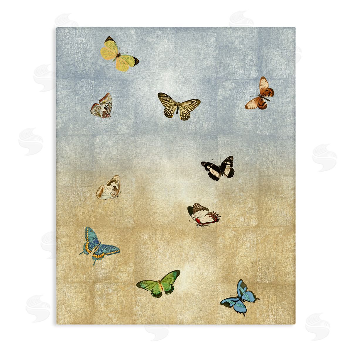 Tina Blakely Various Butterfly Insect Pattern