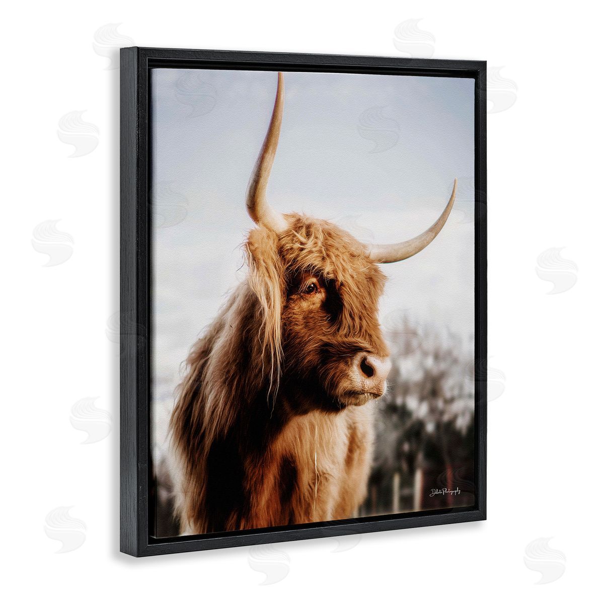 Dakota Diener Cattle Gazing Rural Landscape