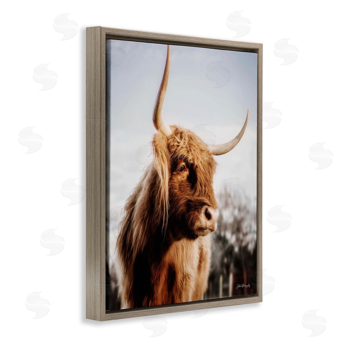 Dakota Diener Cattle Gazing Rural Landscape