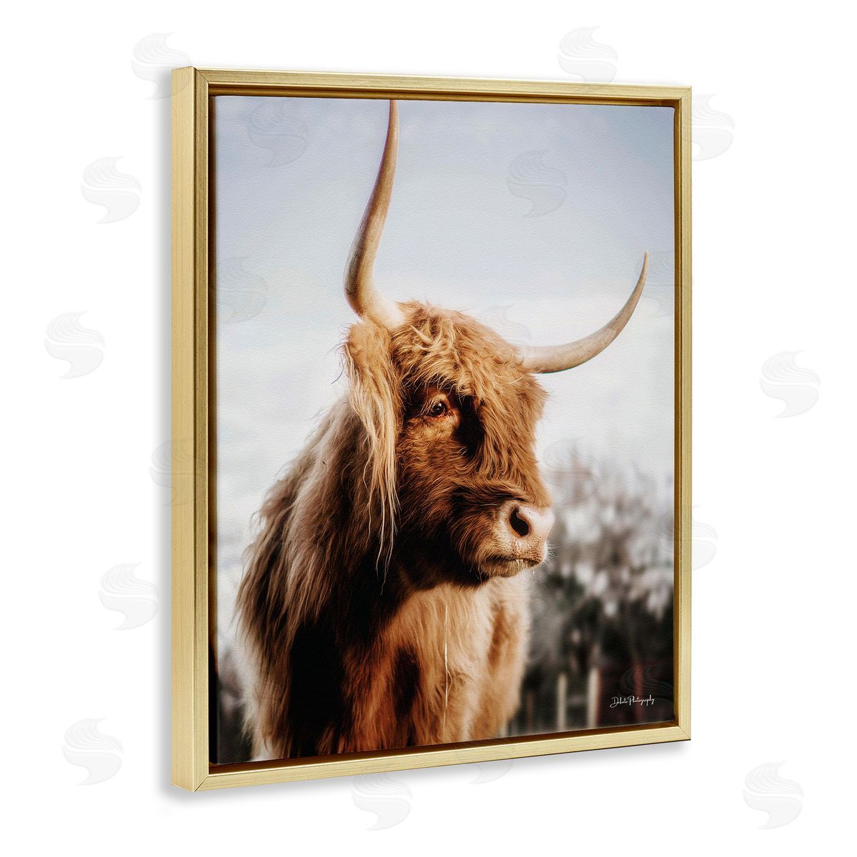 Dakota Diener Cattle Gazing Rural Landscape