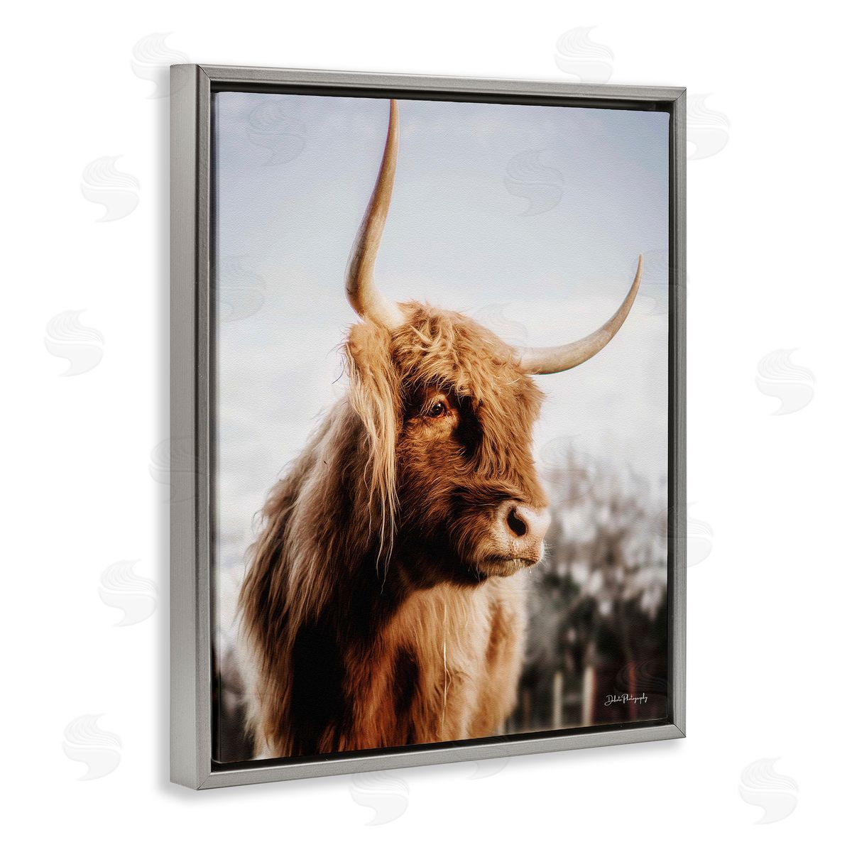 Dakota Diener Cattle Gazing Rural Landscape