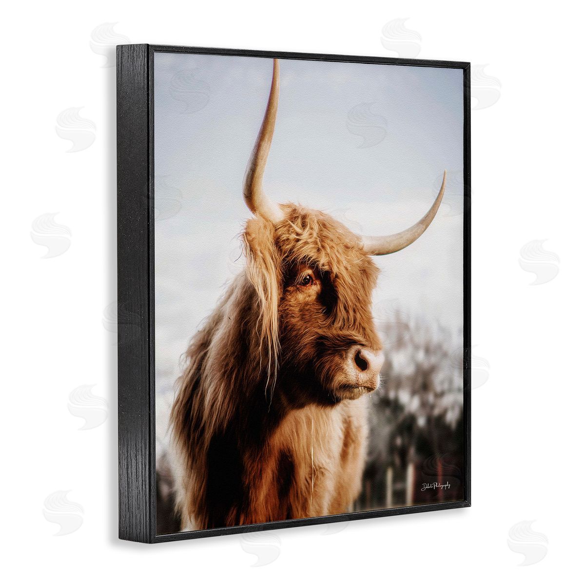 Dakota Diener Cattle Gazing Rural Landscape