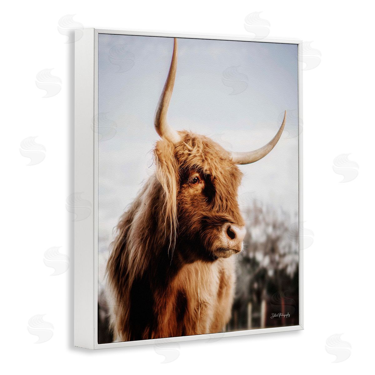 Dakota Diener Cattle Gazing Rural Landscape