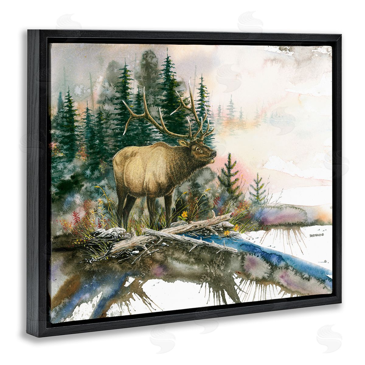 Dave Bartholet Moose Woodland Nature Composition