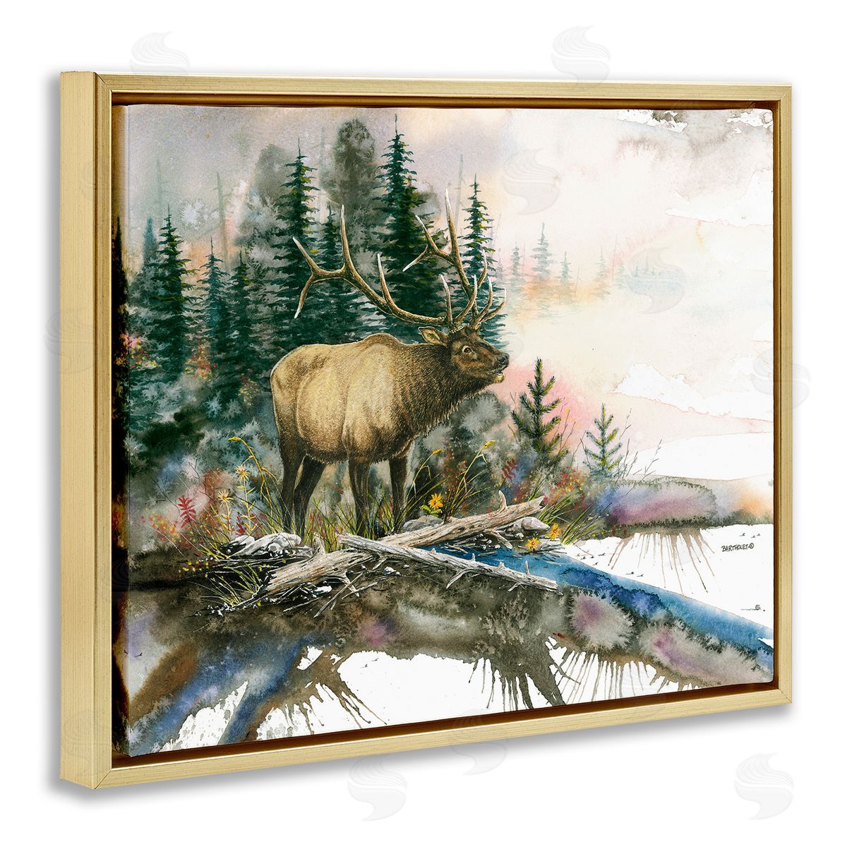 Dave Bartholet Moose Woodland Nature Composition