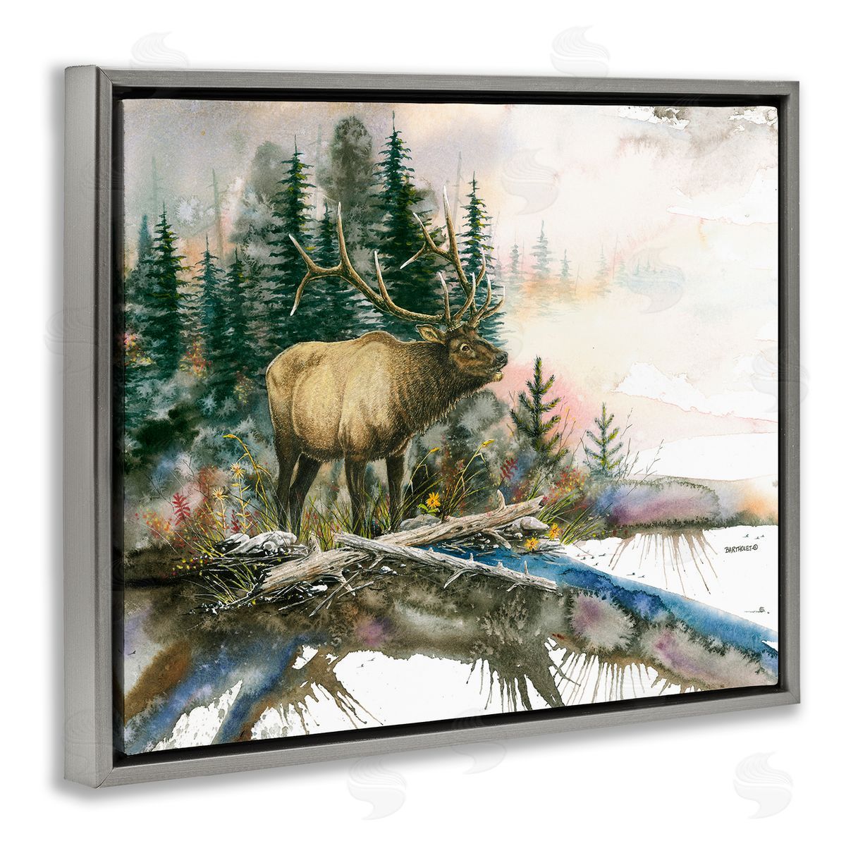 Dave Bartholet Moose Woodland Nature Composition