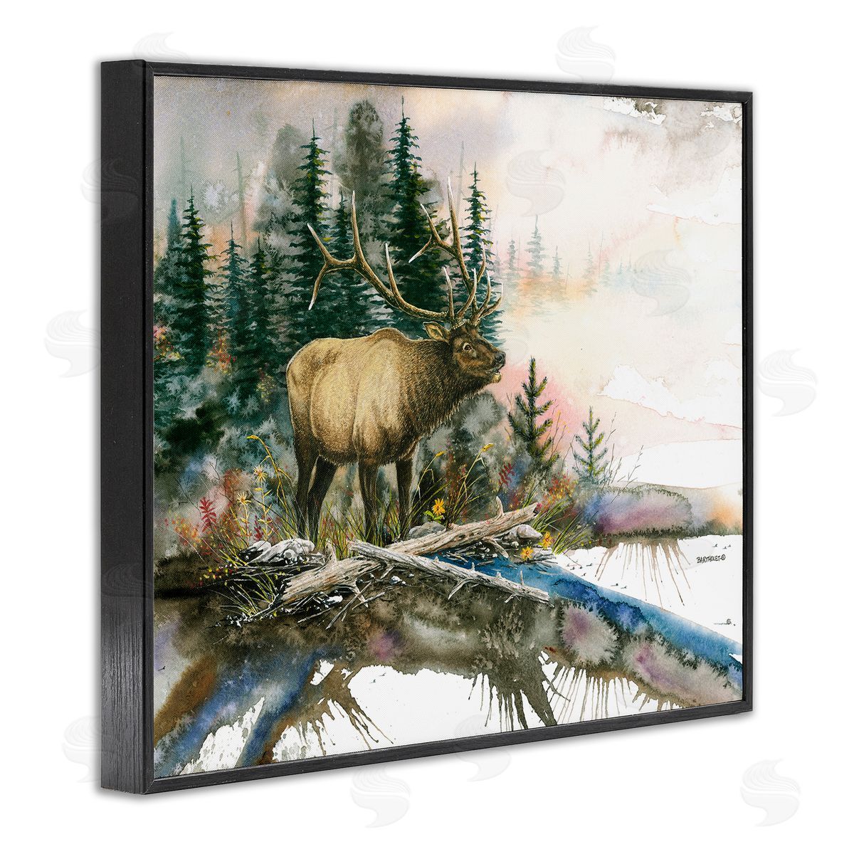 Dave Bartholet Moose Woodland Nature Composition
