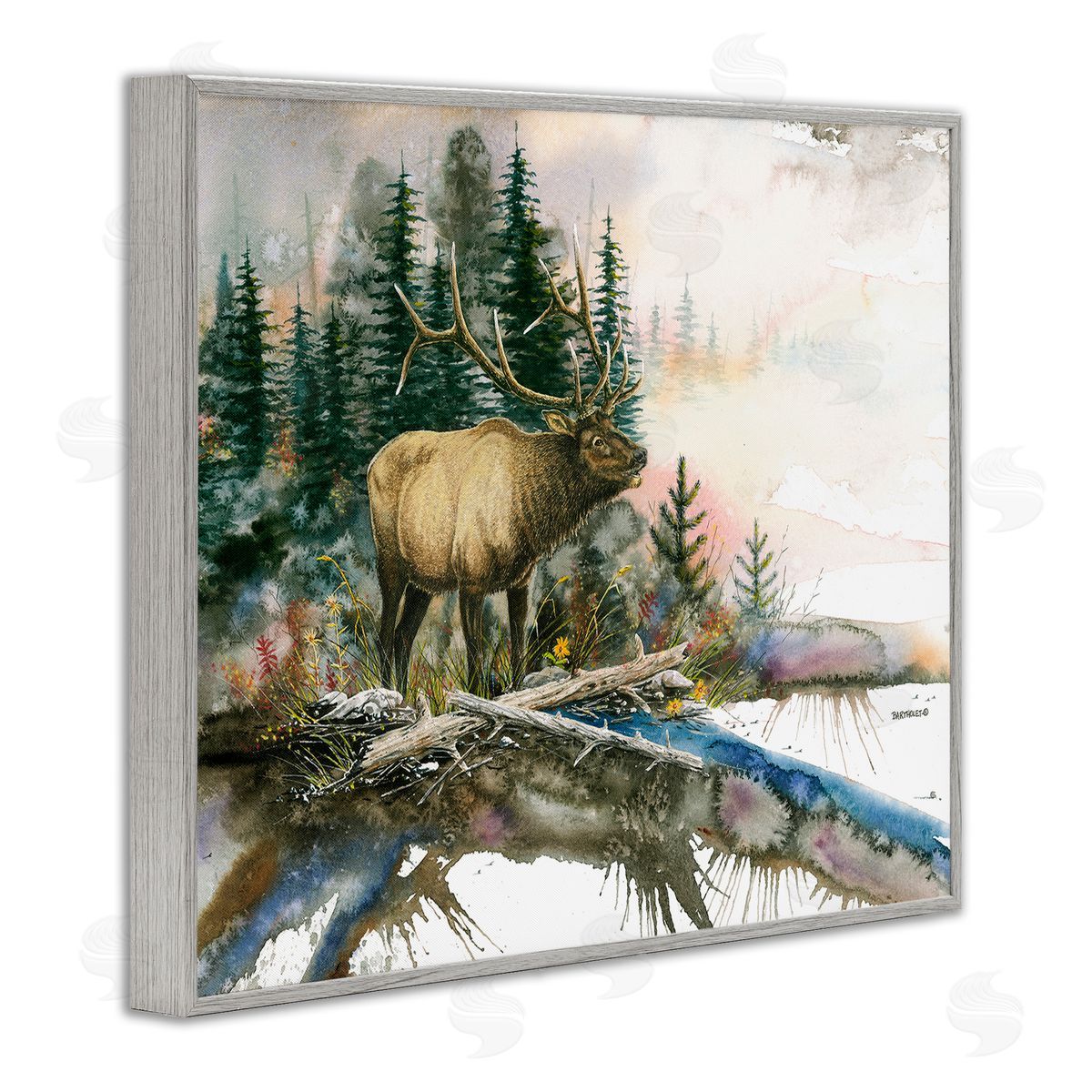 Dave Bartholet Moose Woodland Nature Composition