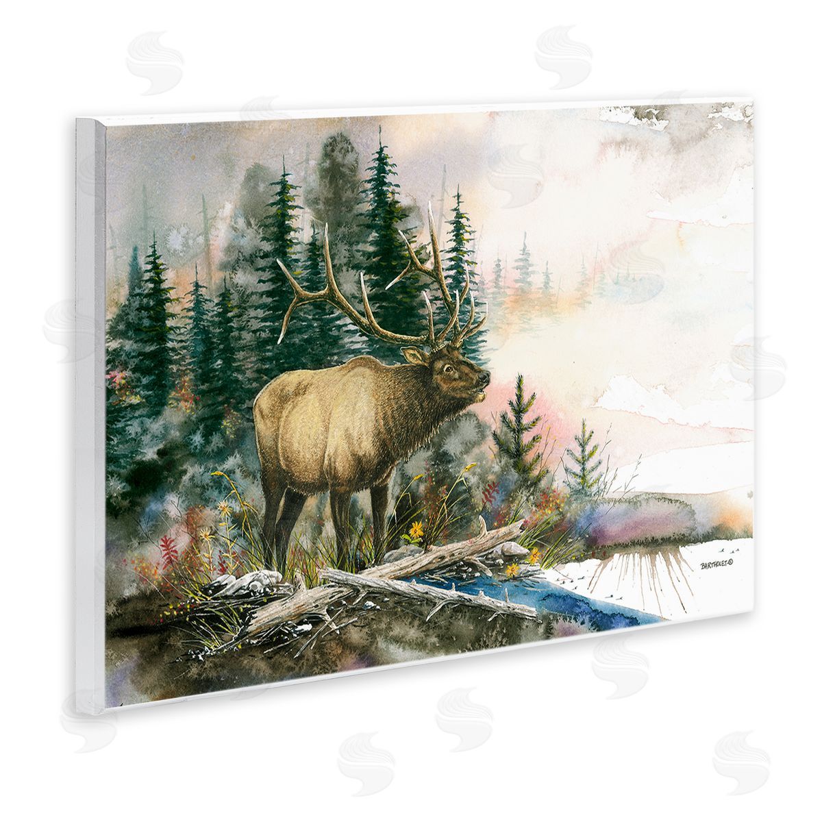Dave Bartholet Moose Woodland Nature Composition