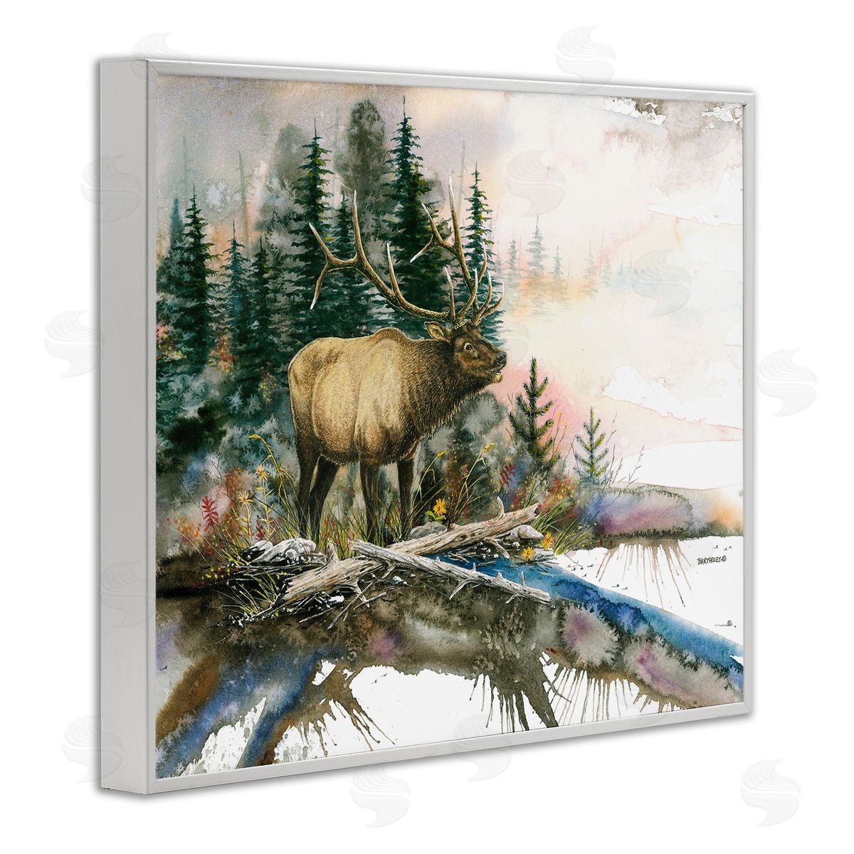 Dave Bartholet Moose Woodland Nature Composition