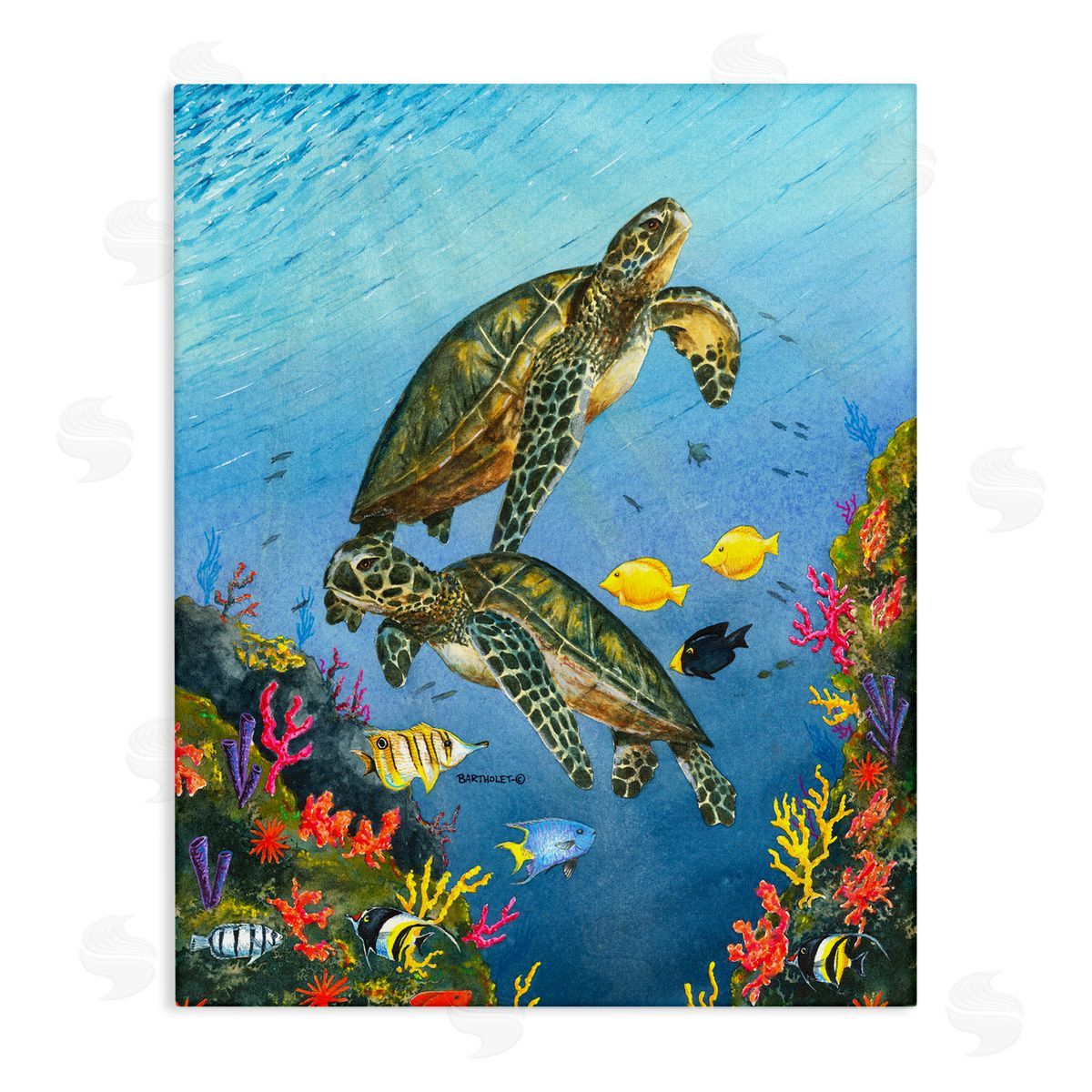 Dave Bartholet Sea Turtles Swimming Underwater Reef