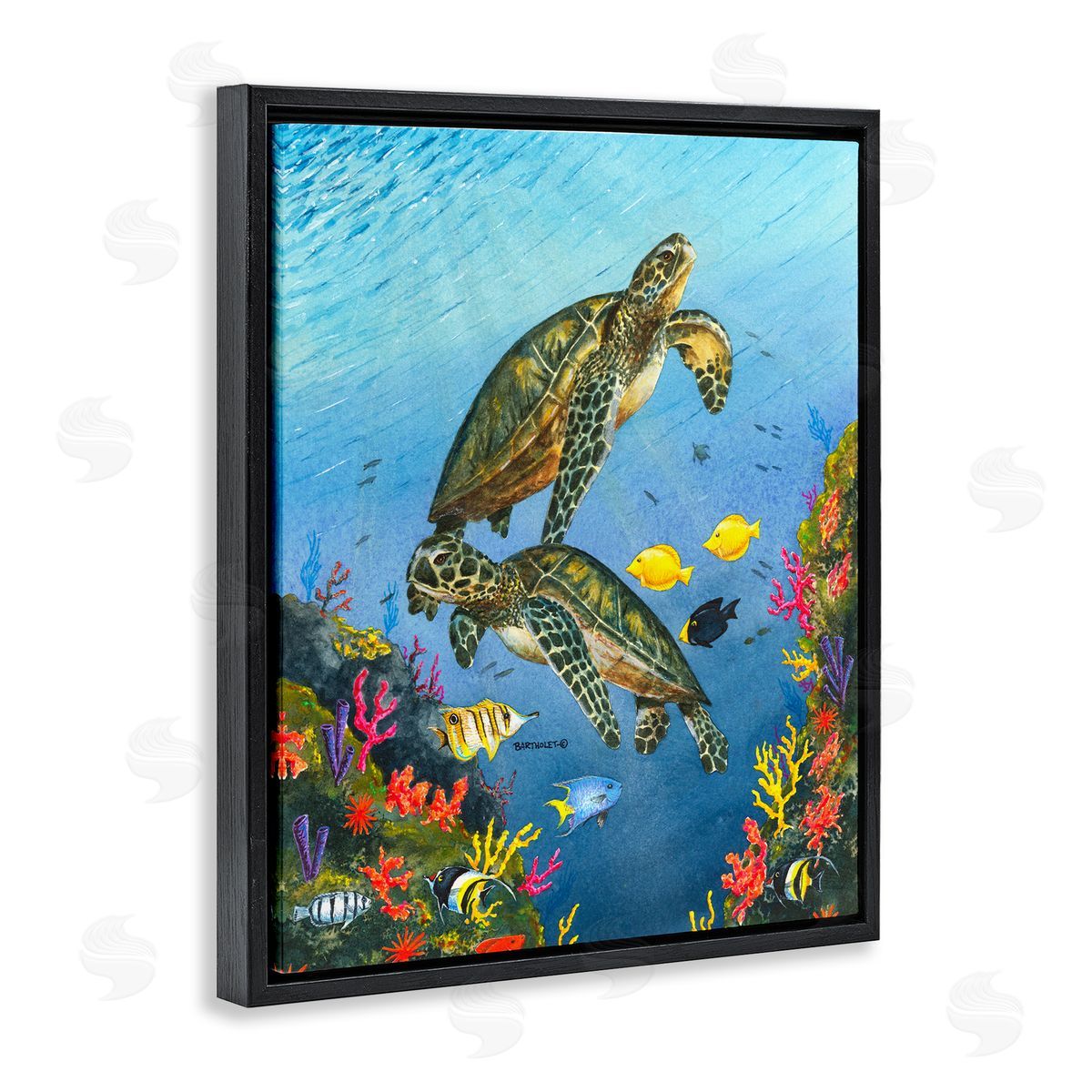 Dave Bartholet Sea Turtles Swimming Underwater Reef