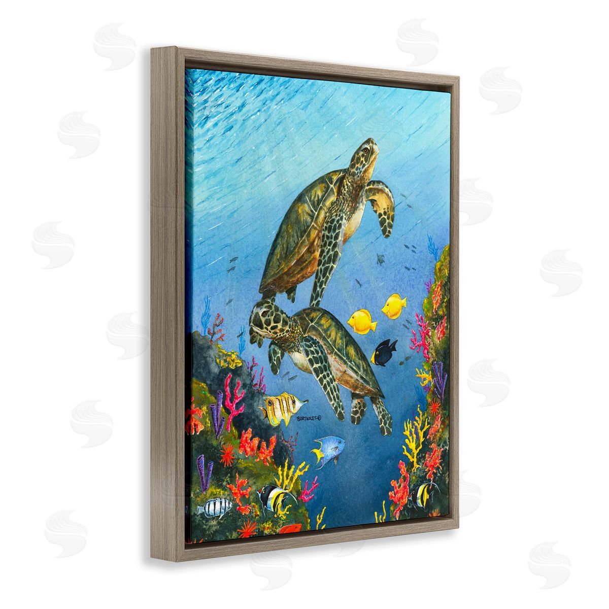 Dave Bartholet Sea Turtles Swimming Underwater Reef