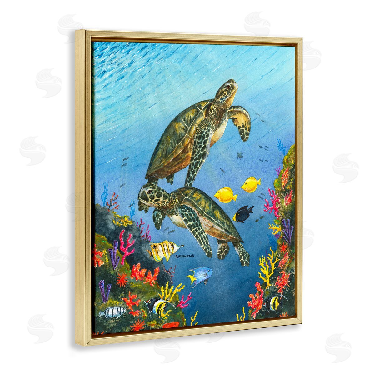 Dave Bartholet Sea Turtles Swimming Underwater Reef