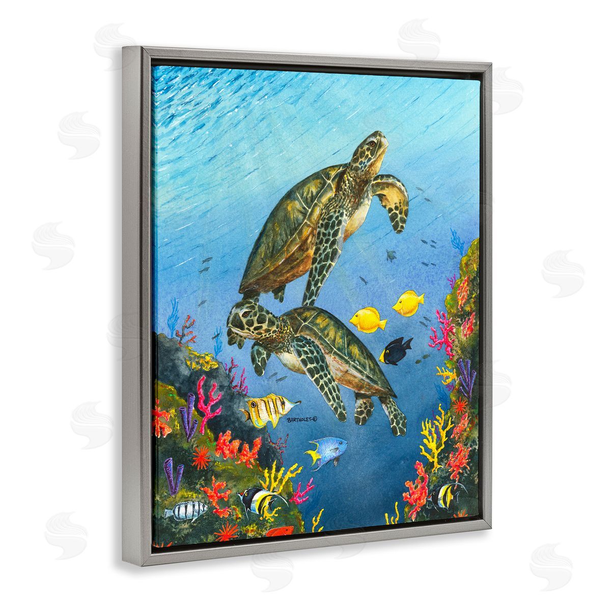 Dave Bartholet Sea Turtles Swimming Underwater Reef