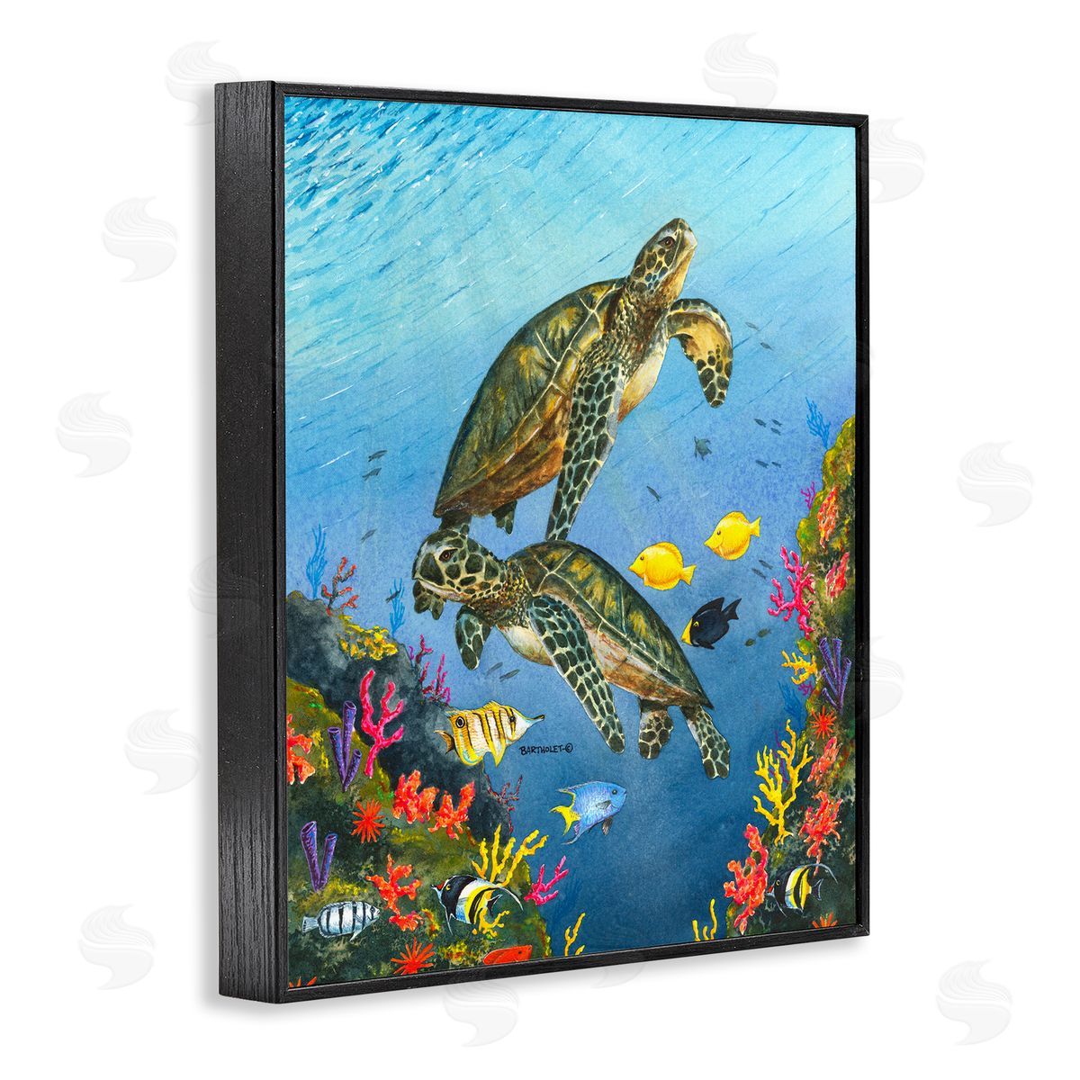 Dave Bartholet Sea Turtles Swimming Underwater Reef