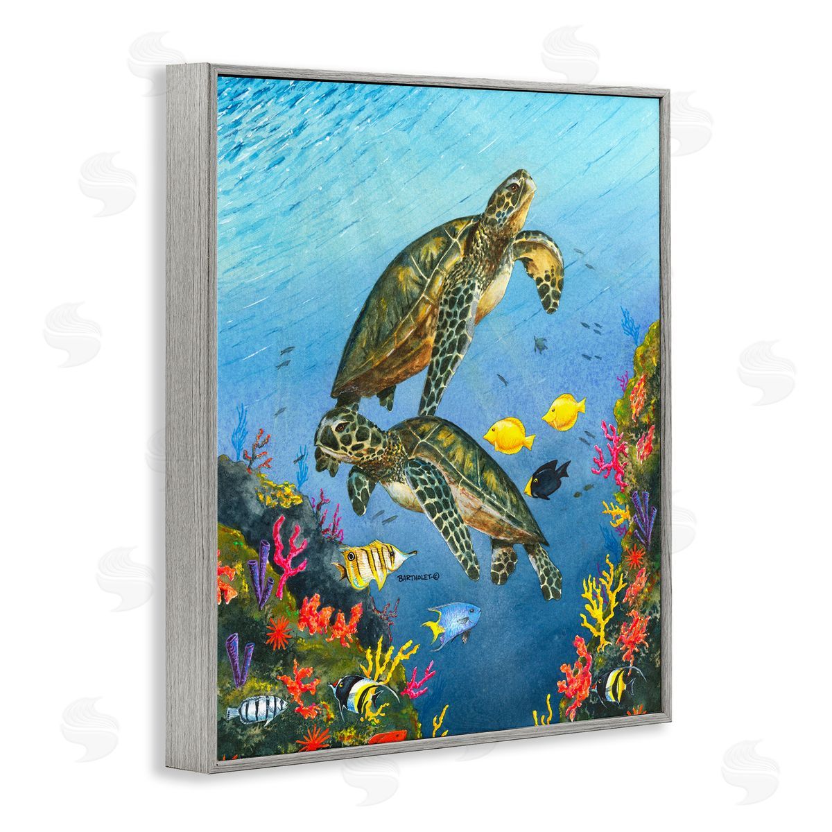 Dave Bartholet Sea Turtles Swimming Underwater Reef