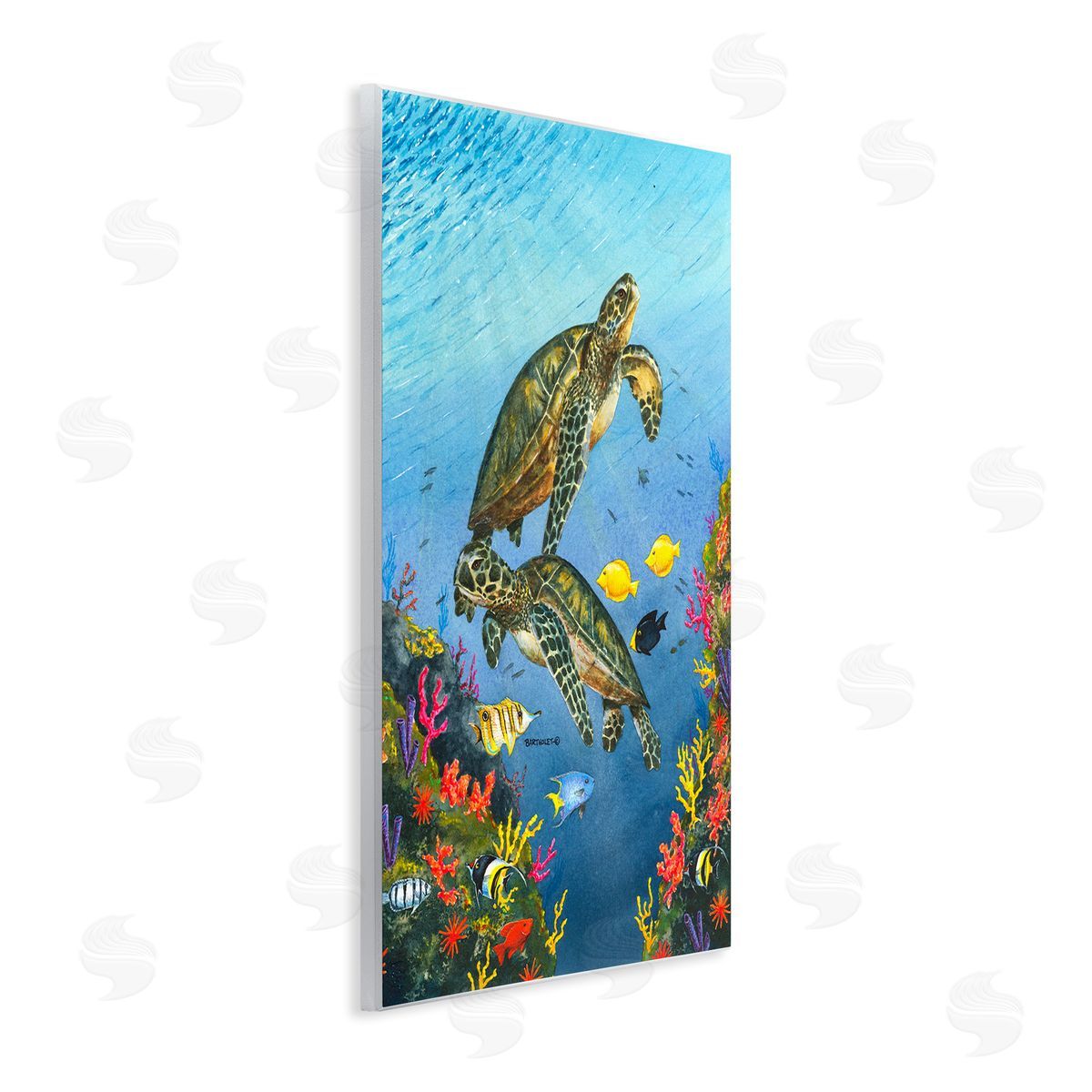 Dave Bartholet Sea Turtles Swimming Underwater Reef