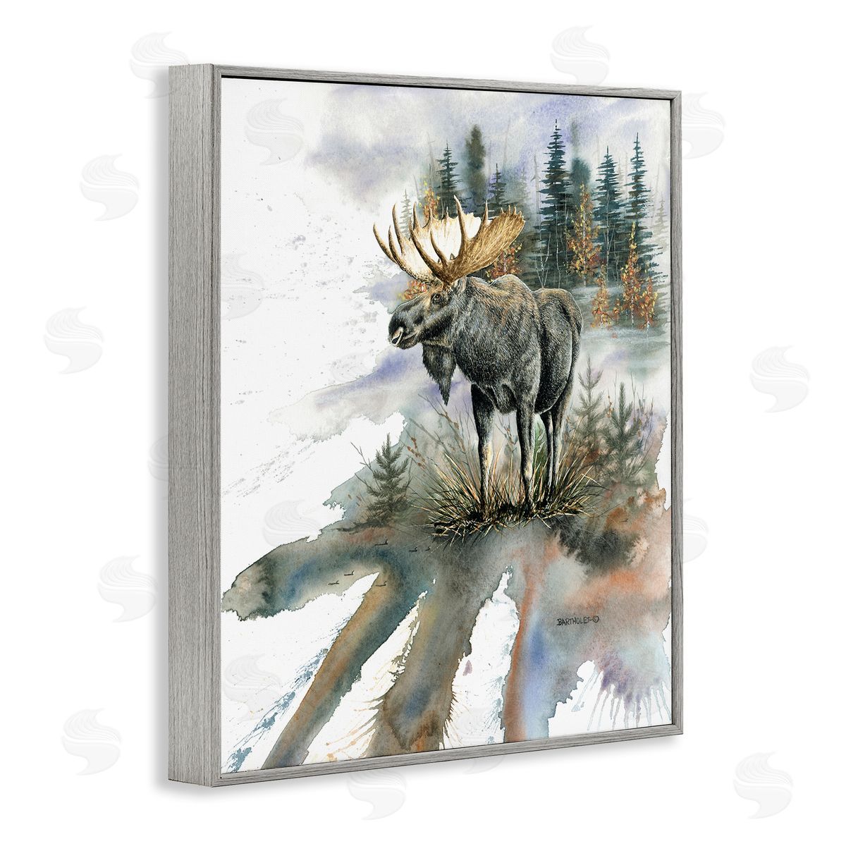 Dave Bartholet Moose Distant Forest Arrangement
