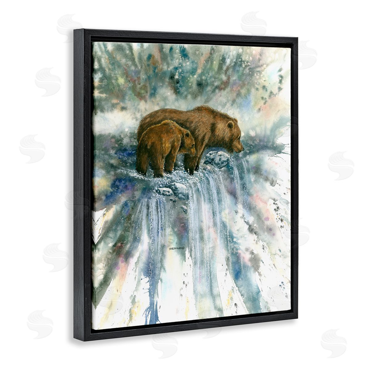 Dave Bartholet Two Bears Waterfall Nature