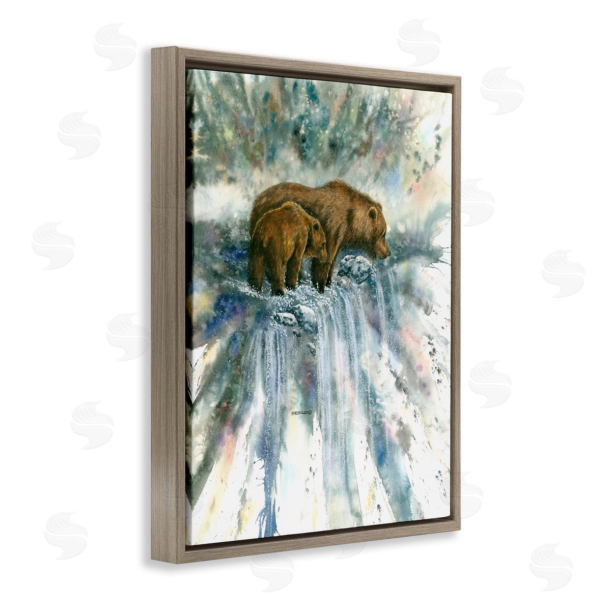 Dave Bartholet Two Bears Waterfall Nature