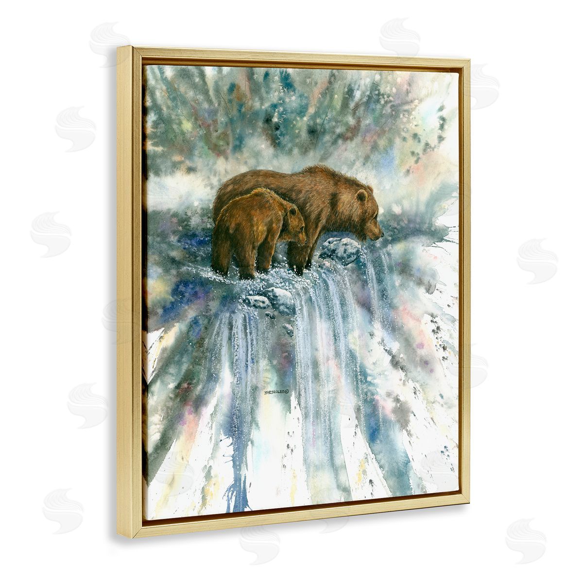 Dave Bartholet Two Bears Waterfall Nature