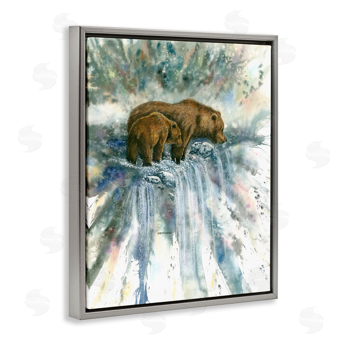 Dave Bartholet Two Bears Waterfall Nature