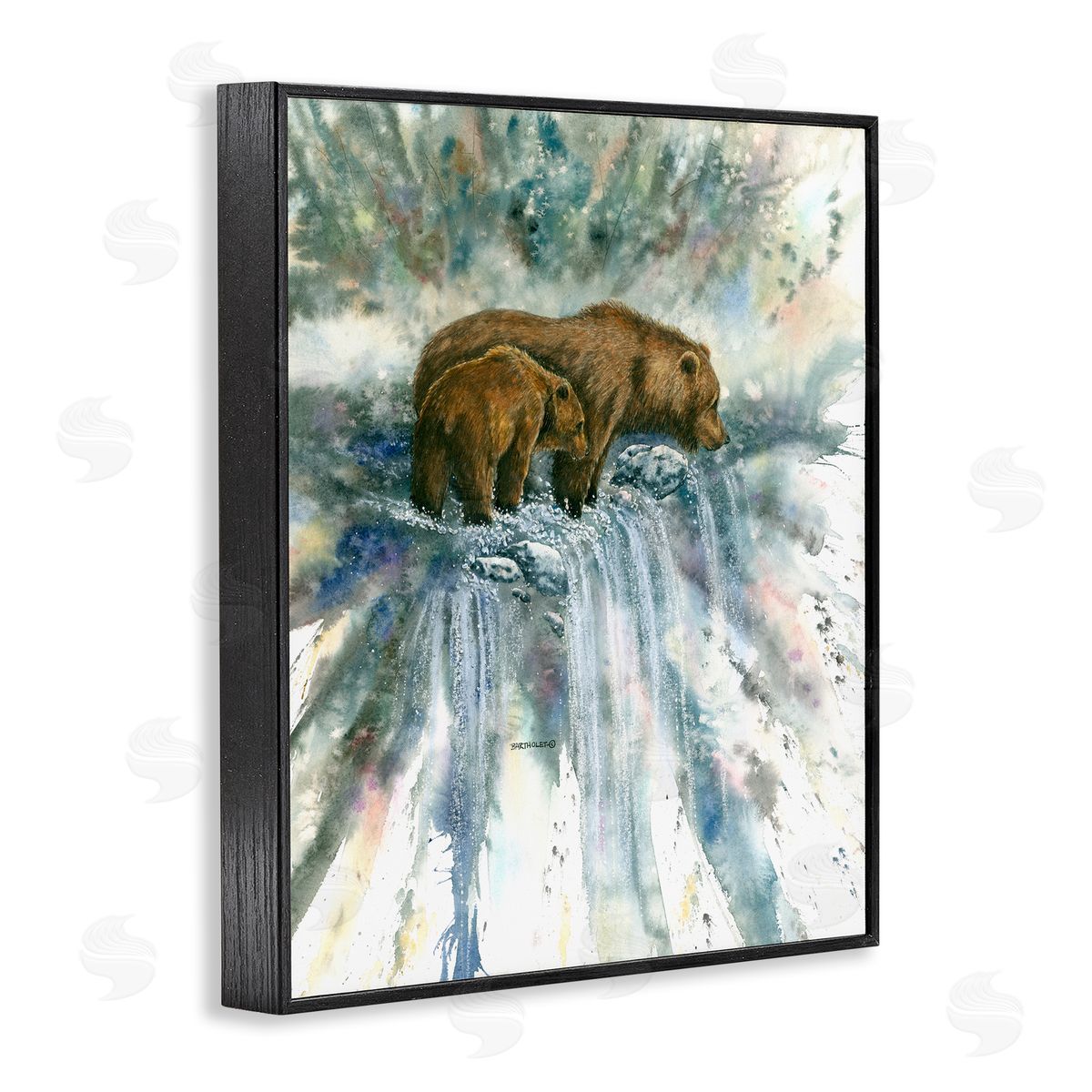 Dave Bartholet Two Bears Waterfall Nature