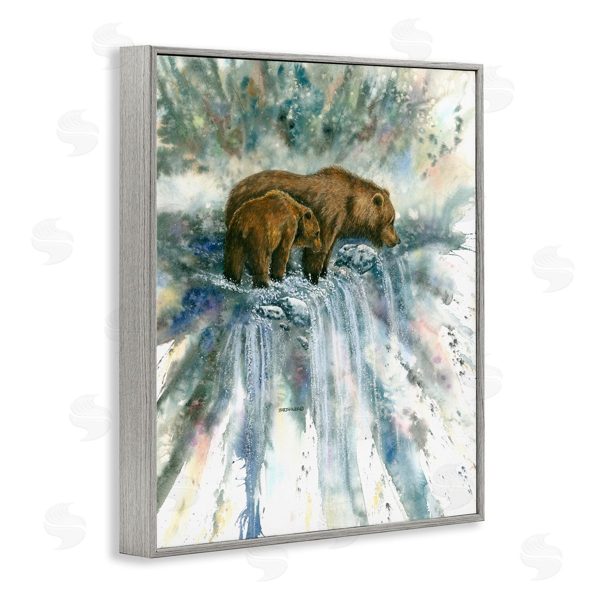 Dave Bartholet Two Bears Waterfall Nature