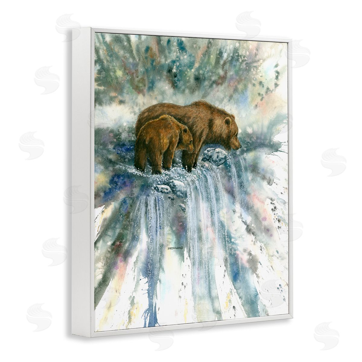 Dave Bartholet Two Bears Waterfall Nature