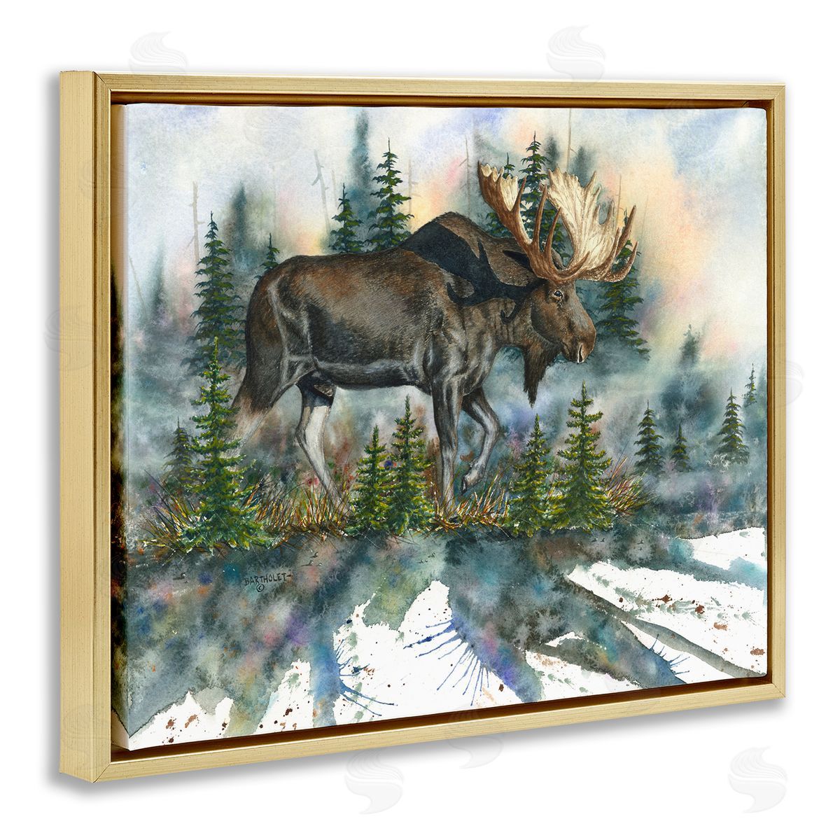 Dave Bartholet Wild Moose Forest Nature Scene